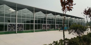 陽(yáng)光板溫室與連棟薄膜溫室大棚的區(qū)別