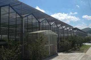玻璃連棟溫室