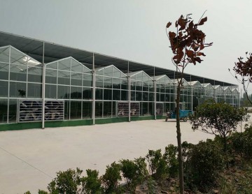 陽光板溫室與連棟薄膜溫室大棚的區(qū)別